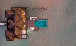 https://odyssey.zublu.com/storage/gallery/iVEZGnlwLxAi4Z2dNd5ySP4r8FdwoA3MY4bYiN2x.jpg