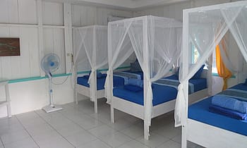 https://odyssey.zublu.com/storage/PwrNu6yo9UT95H07sEEOopy6cpb66iO8m0IwRRAs.jpg