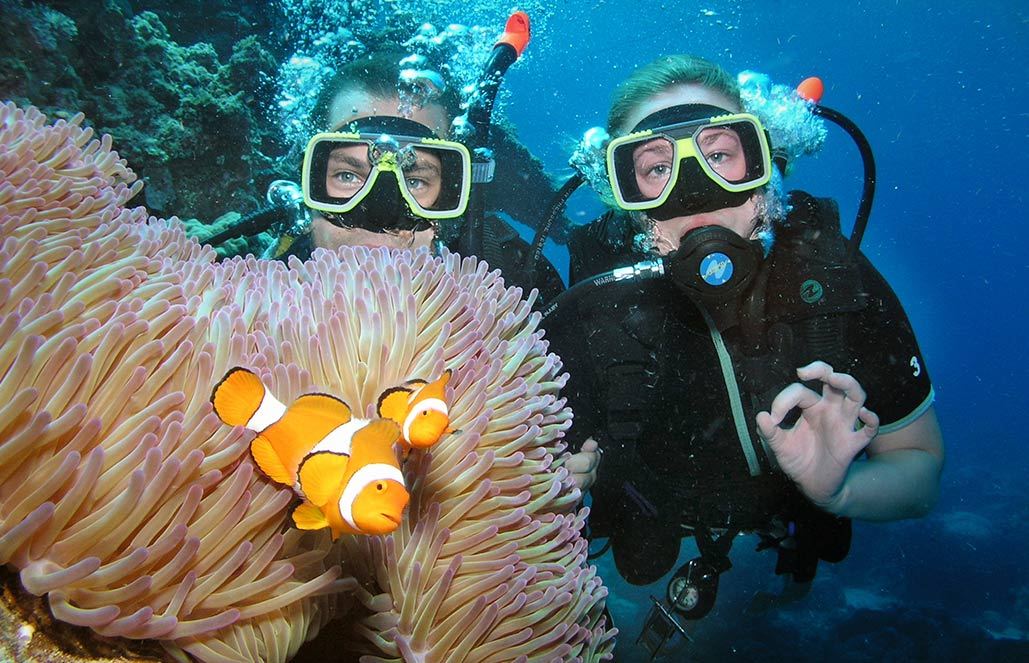 Great Barrier Reef Conservation