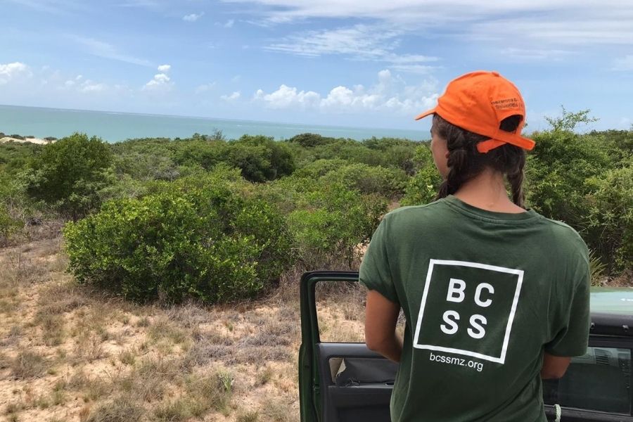 Land and outreach internship