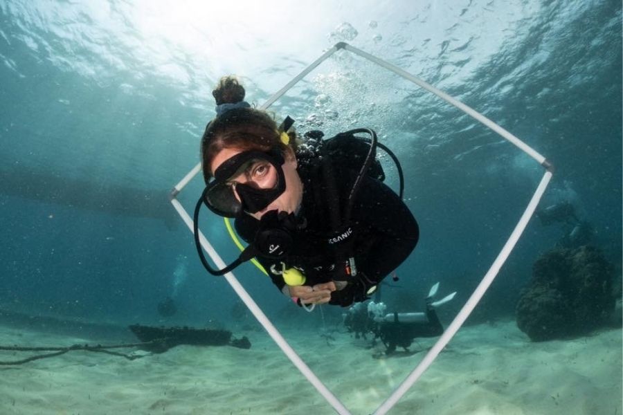 Advanced - Divemaster research internship