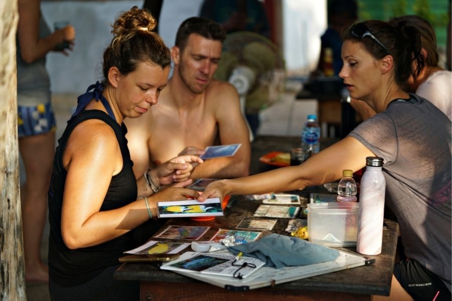 Divemaster marine conservation research assistant