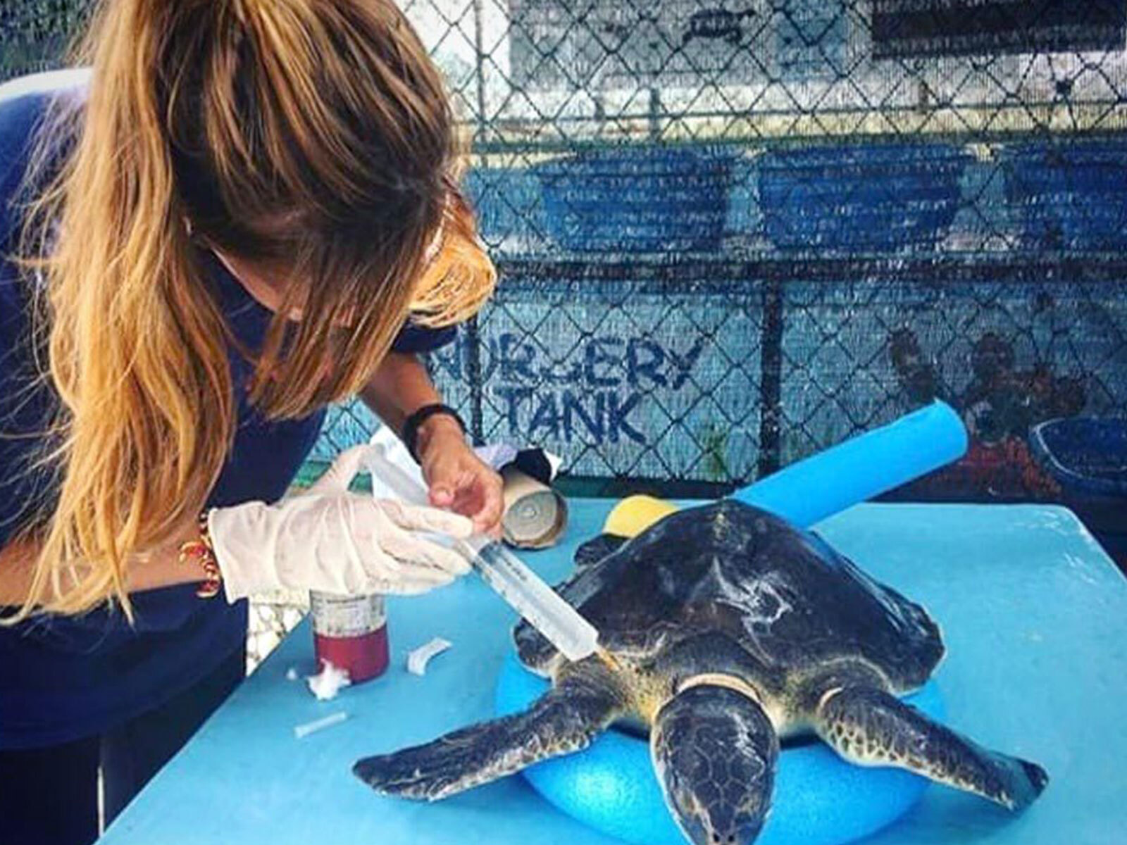Maldives marine and turtle conservation