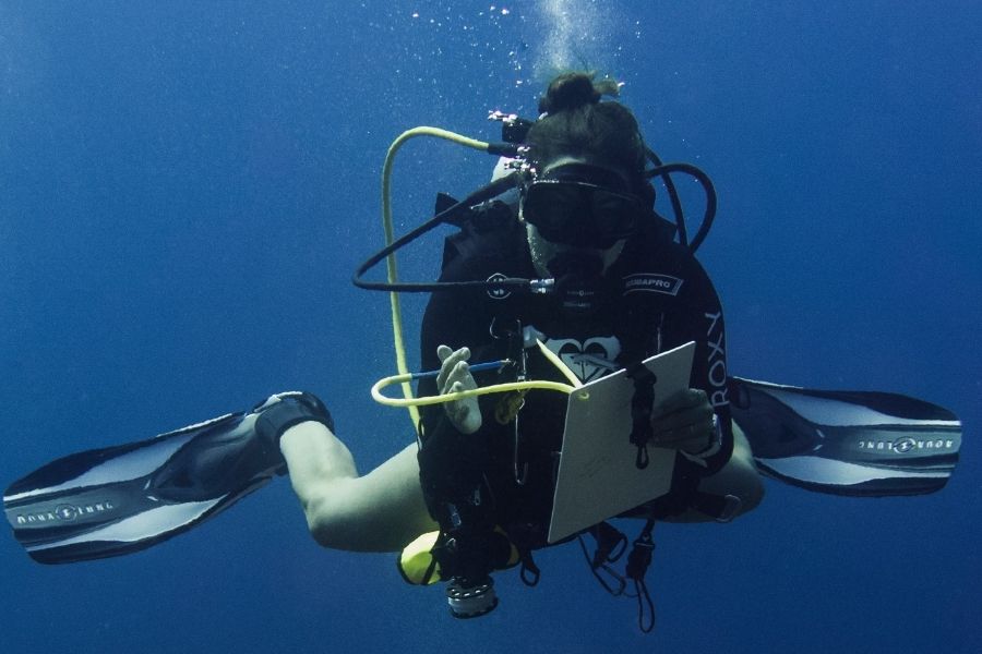 Divemaster and research diver internship
