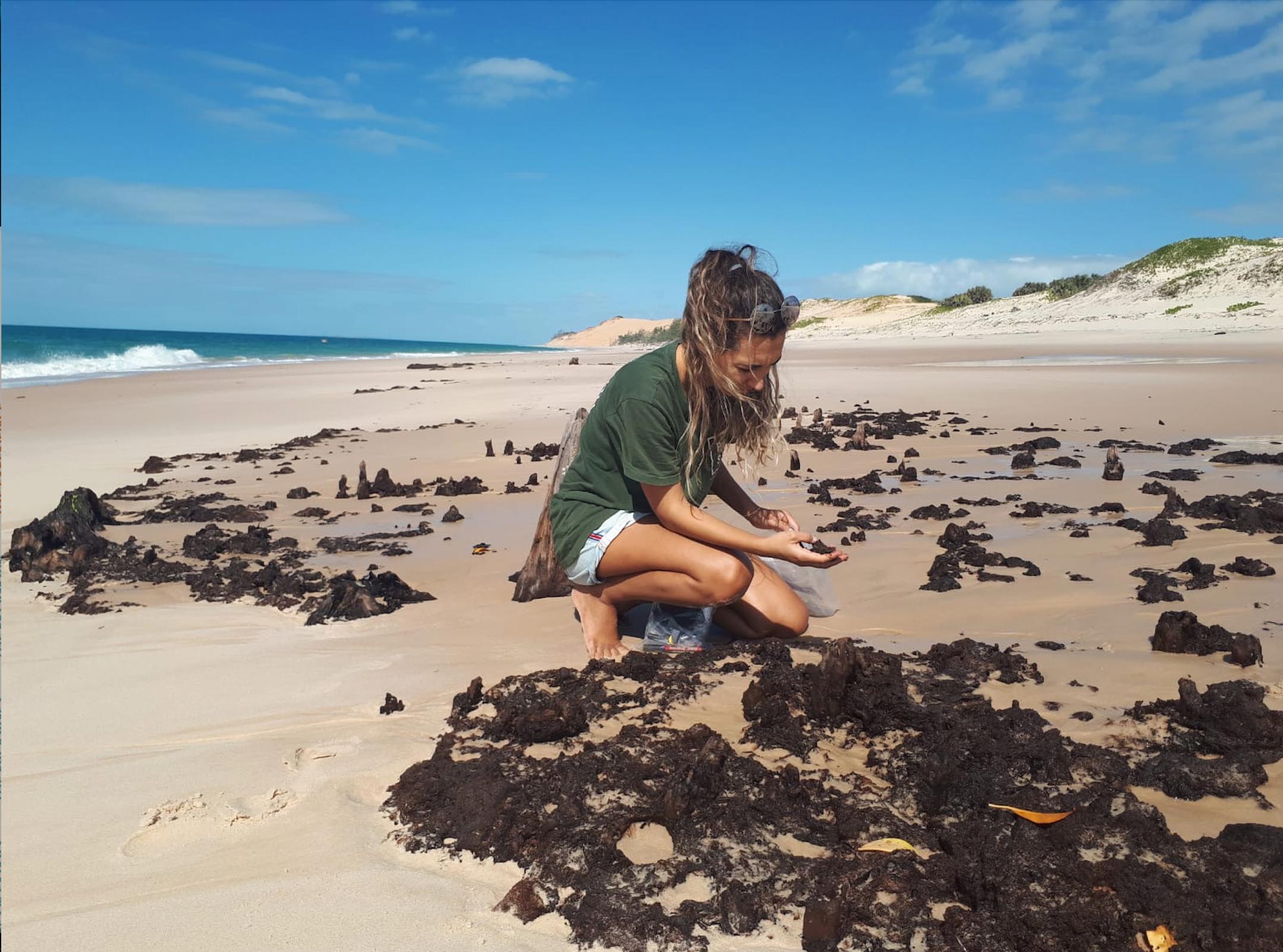 Marine Science Volunteering Program