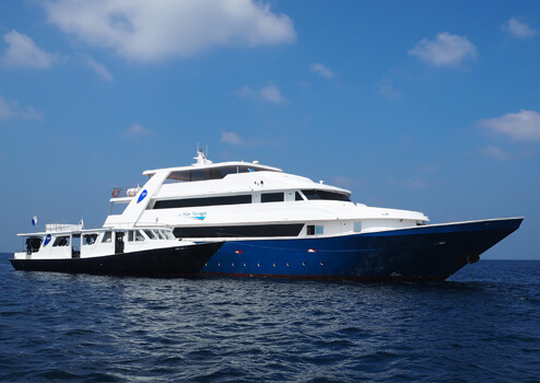 Far north Maldives manta expedition