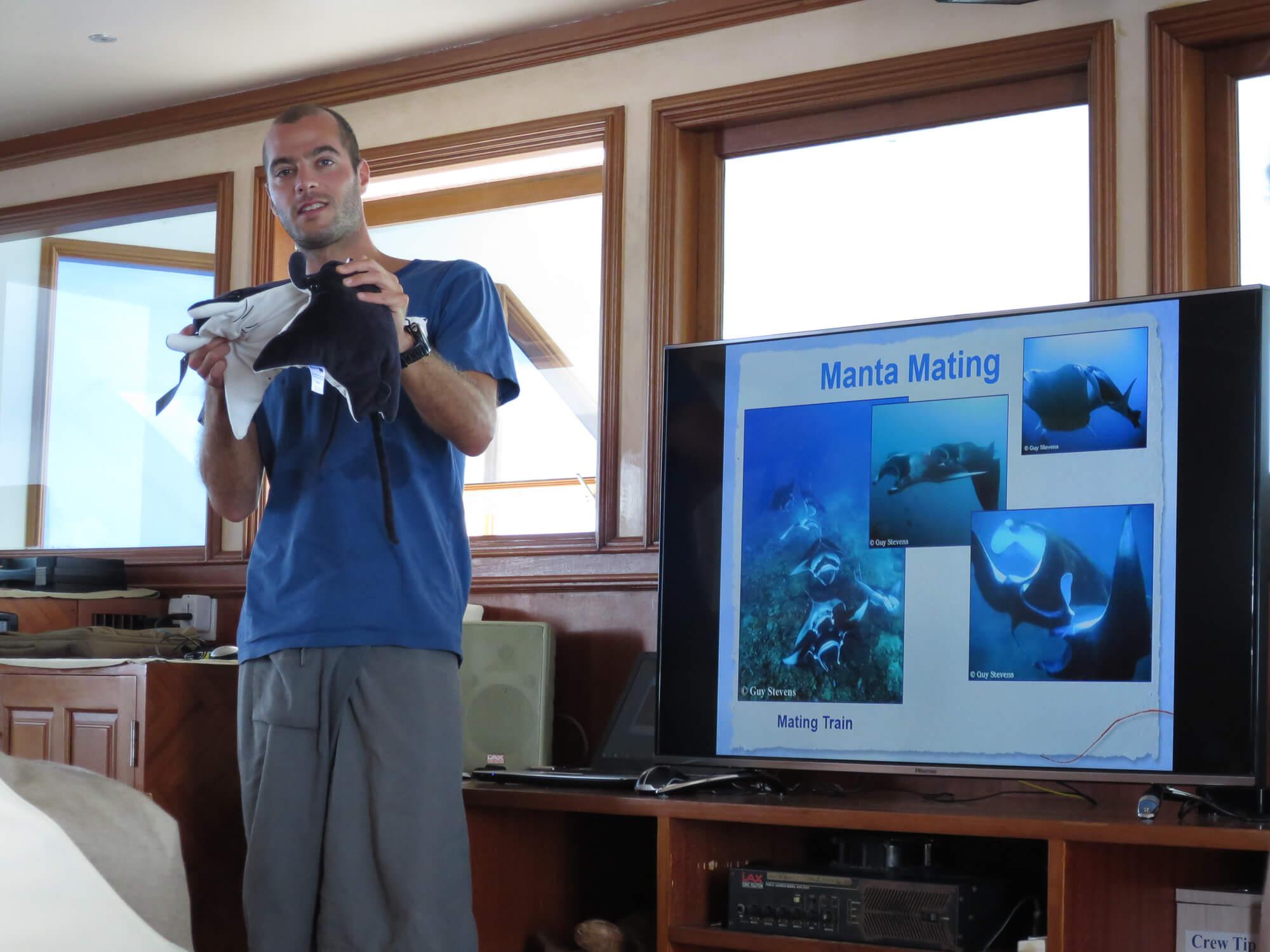 Maldives best of the south manta expedition