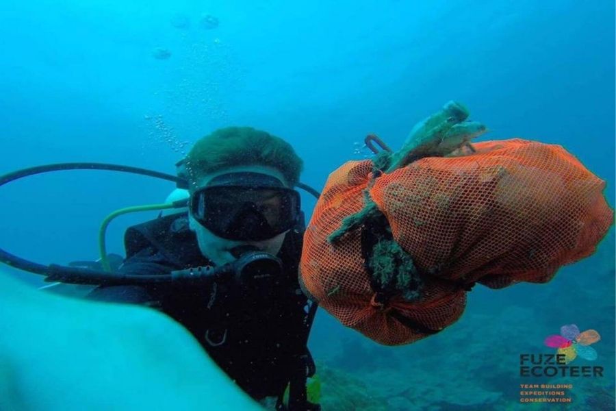 Anemone research and conservation volunteer