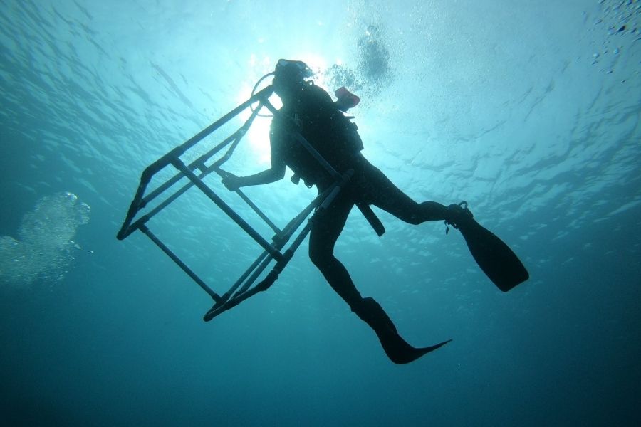 Assistant research diver