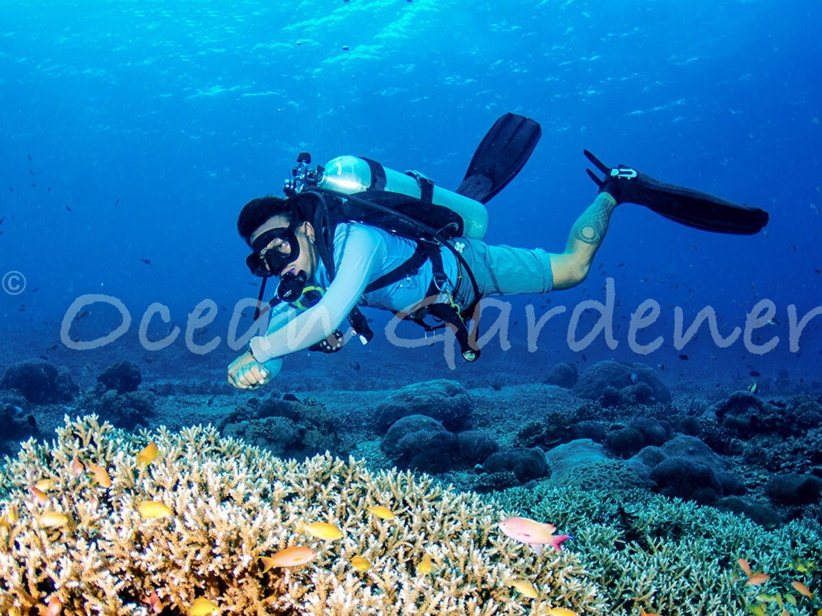Ocean gardener
