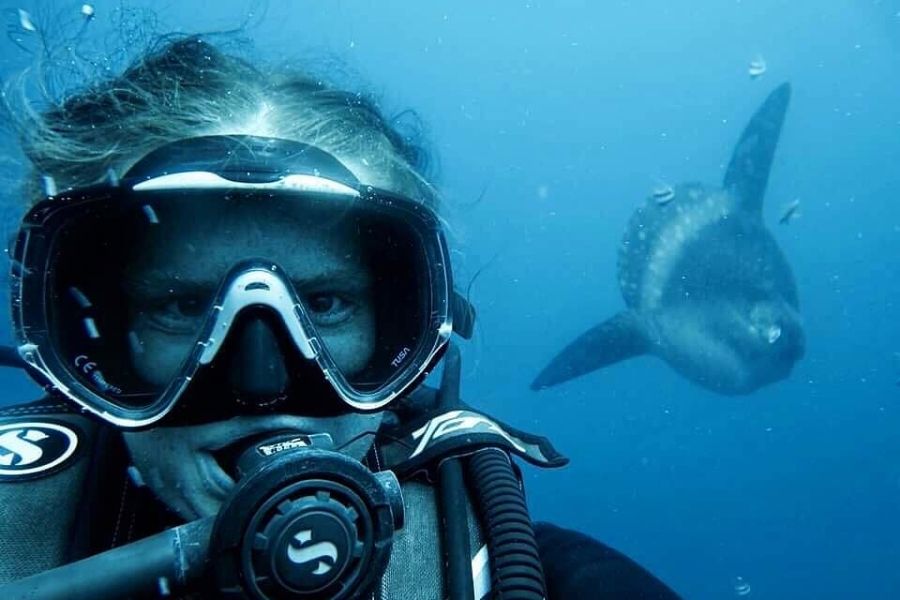 Divemaster research internship