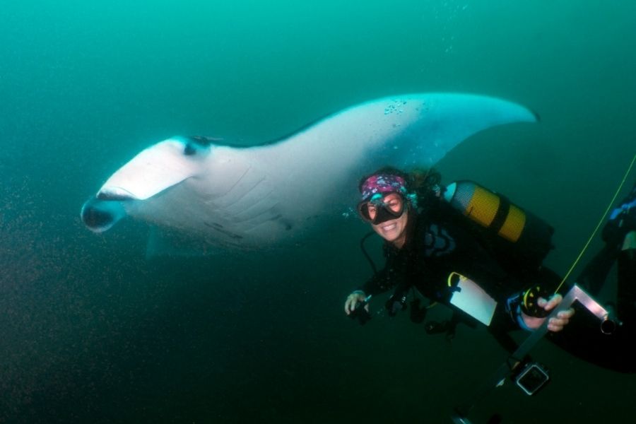 Marine conservation and diver development internship