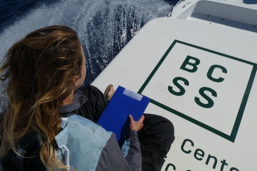 Marine research internship